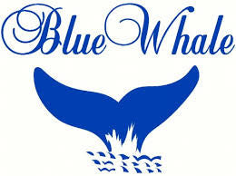 Blue Whale Uniforms Logo